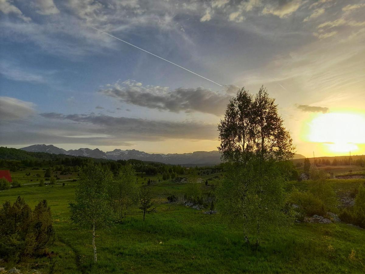 Villa Breza Žabljak Exterior foto